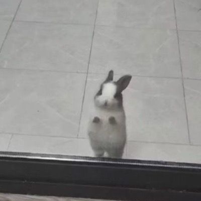 curious thumbnail