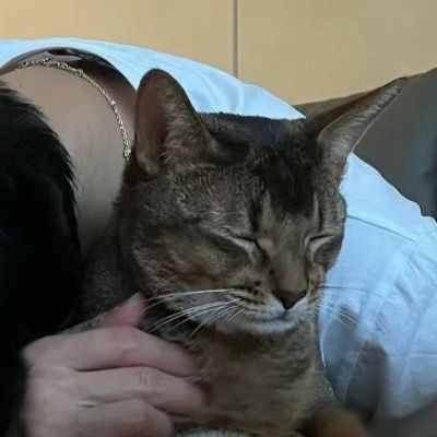 curious thumbnail