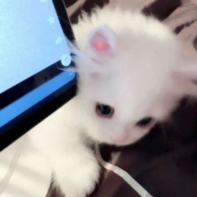 Curious thumbnail